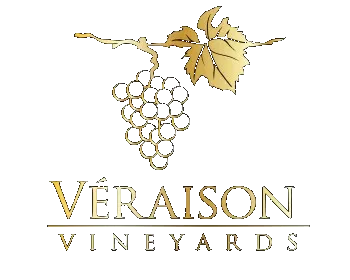 Véraison Vineyards — Garagiste Wine Producer, Franschhoek Valley